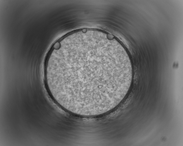 X0000102501080200809051340