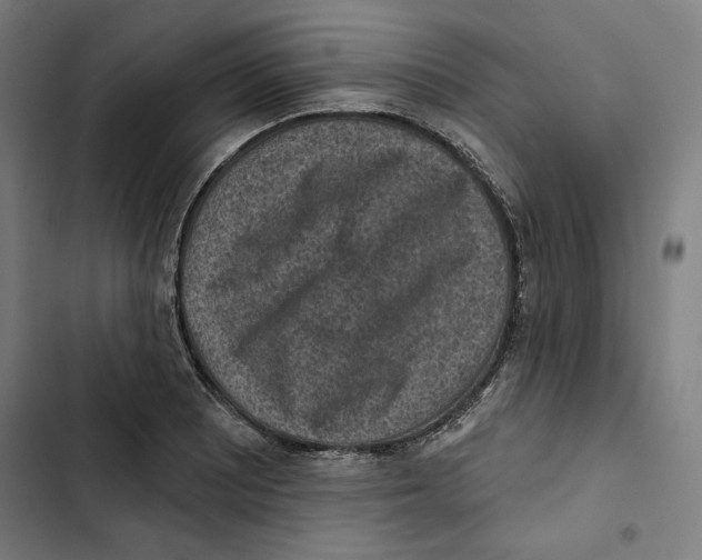 X0000102501081200809051340