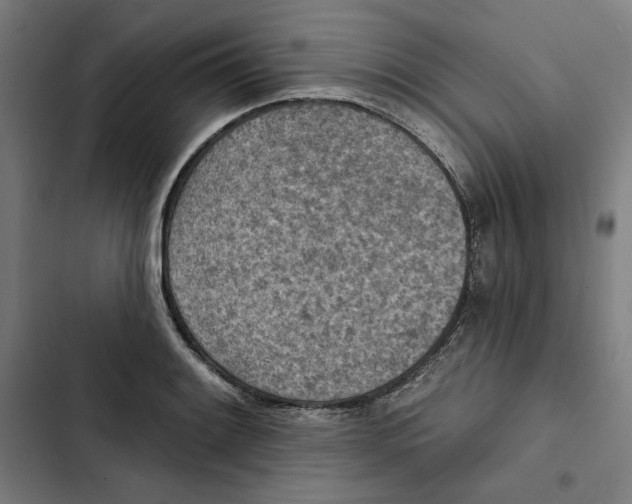 X0000102501084200809051340