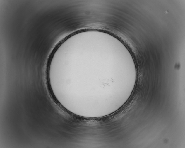 X0000102501085200809051340