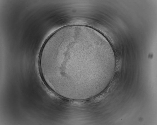 X0000102501086200809051340