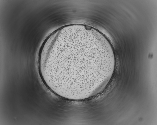 X0000102501088200809051340