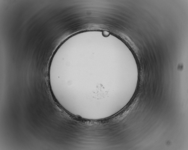 X0000102501089200809051340