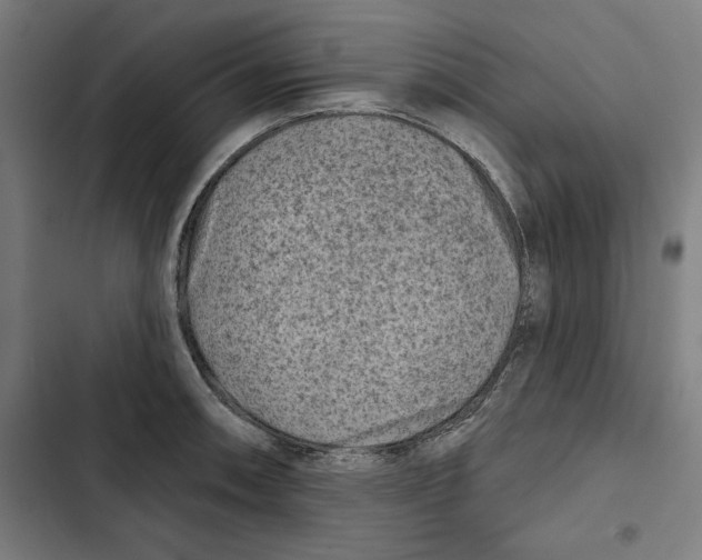 X0000102501090200809051340