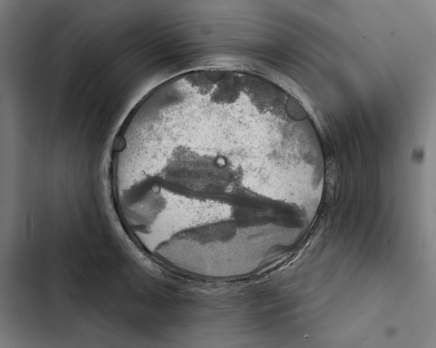 X0000102501091200809051340