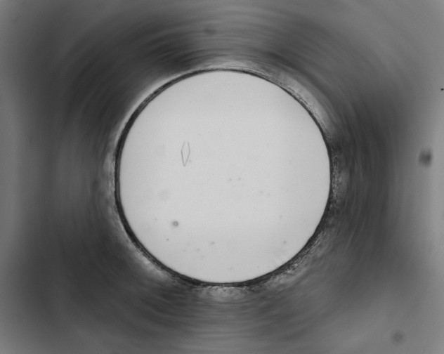 X0000102501092200809051340