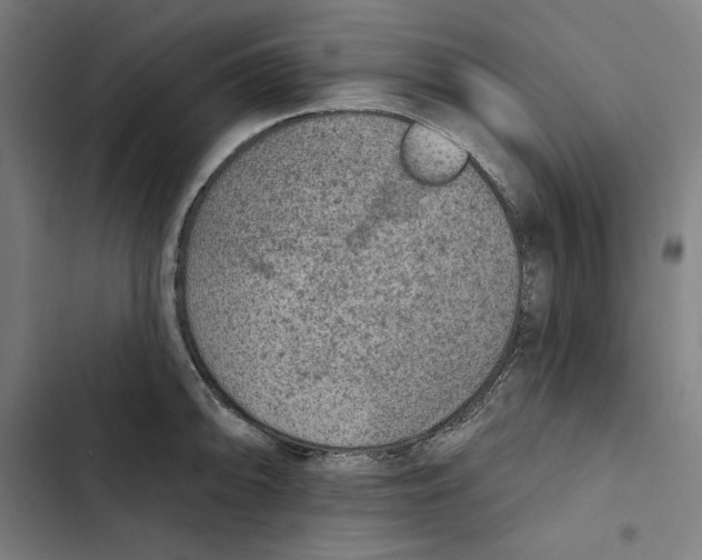 X0000102501094200809051340