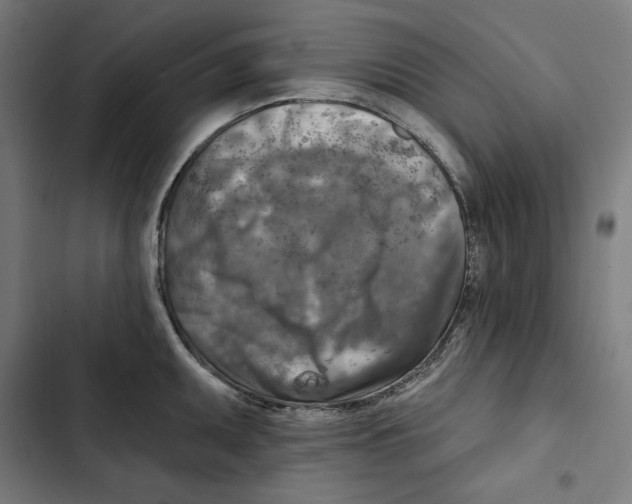 X0000102501095200809051340