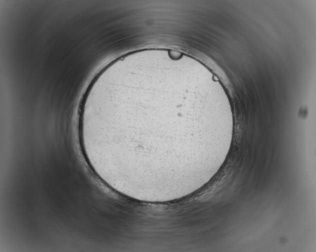 X0000102501096200809051340