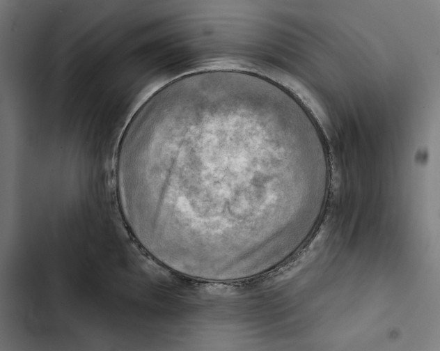 X0000102501097200809051340