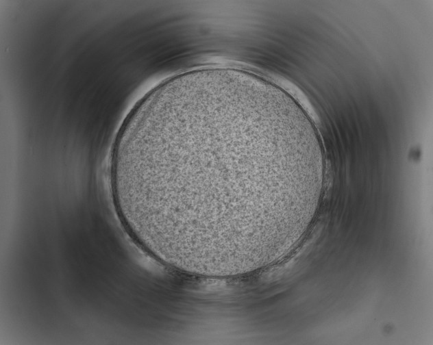 X0000102501098200809051340