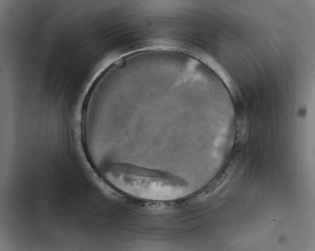 X0000102501099200809051339