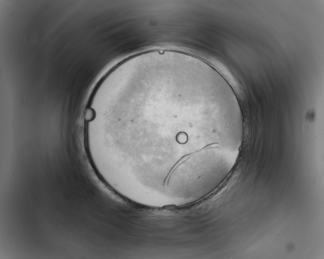 X0000102501100200809051339