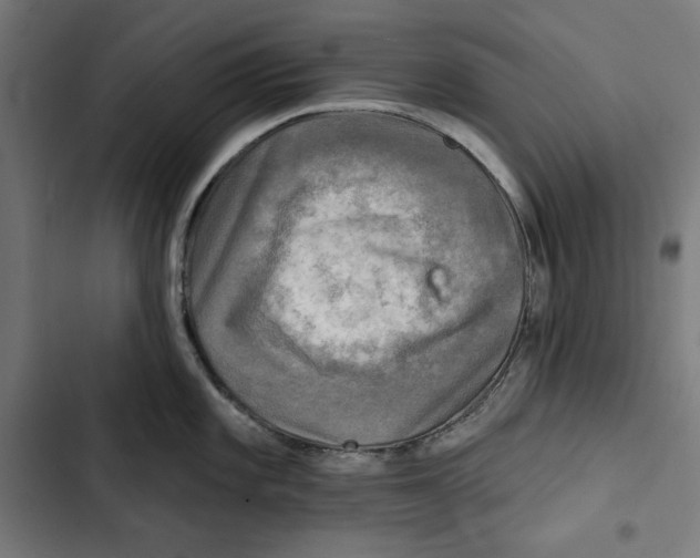 X0000102501101200809051339