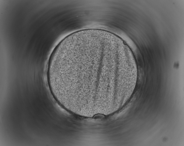 X0000102501102200809051339