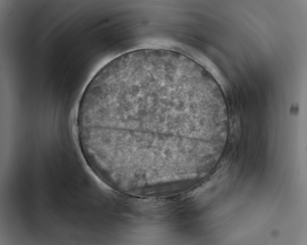 X0000102501103200809051339