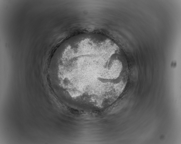 X0000102501105200809051339