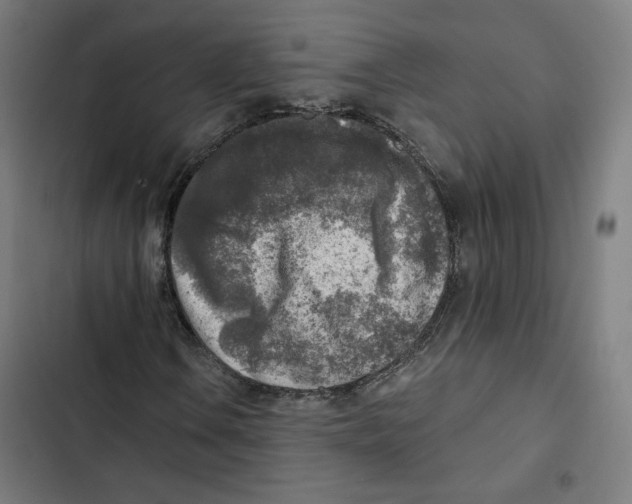 X0000102501106200809051339