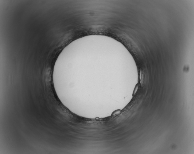 X0000102501107200809051339