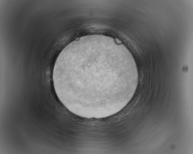 X0000102501108200809051339