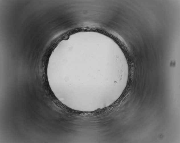 X0000102501112200809051339