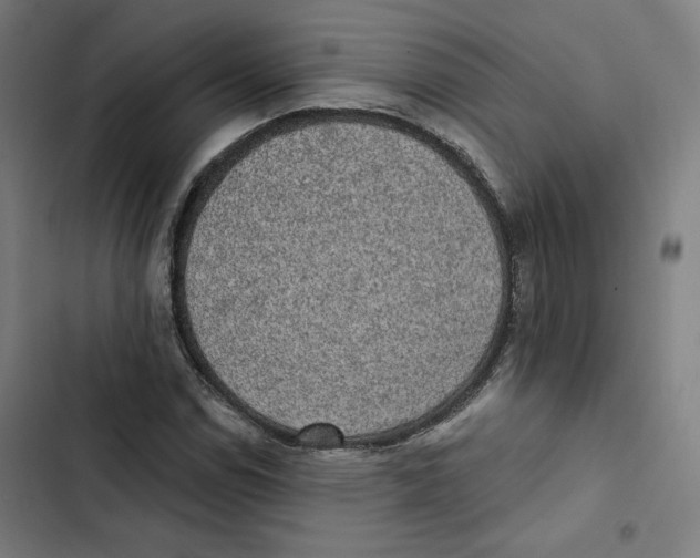 X0000102501114200809051339