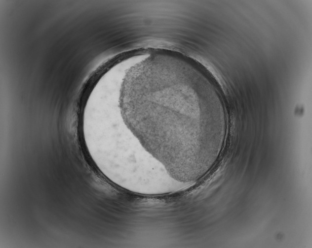 X0000102501115200809051339