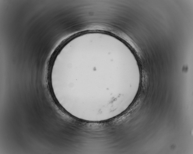 X0000102501116200809051339