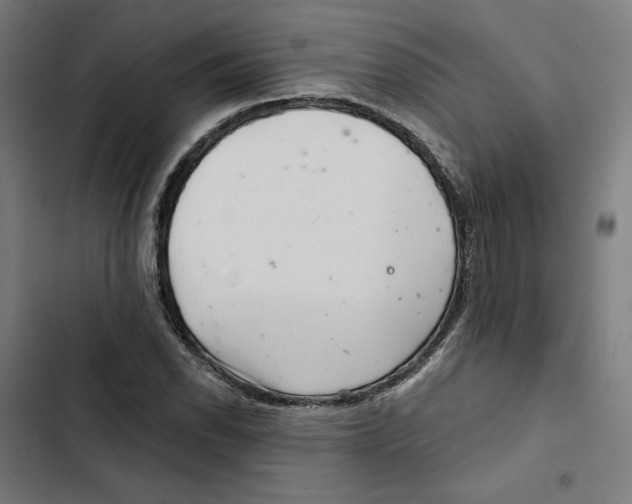 X0000102501118200809051339