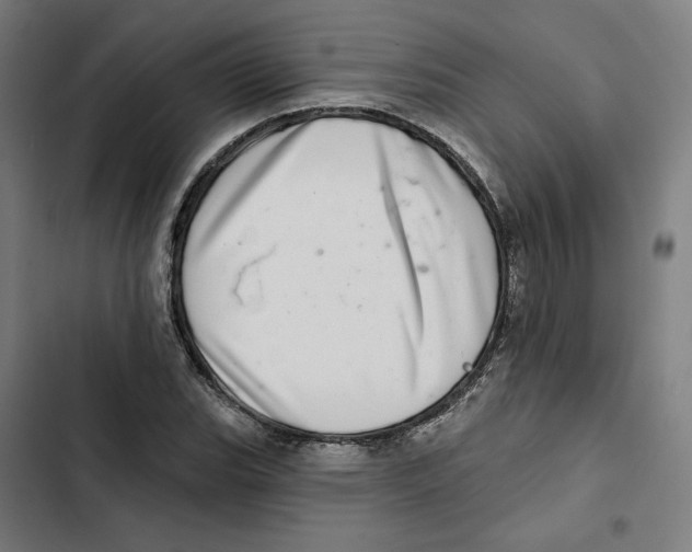 X0000102501119200809051339