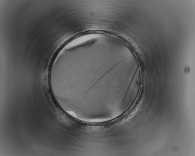 X0000102501121200809051339