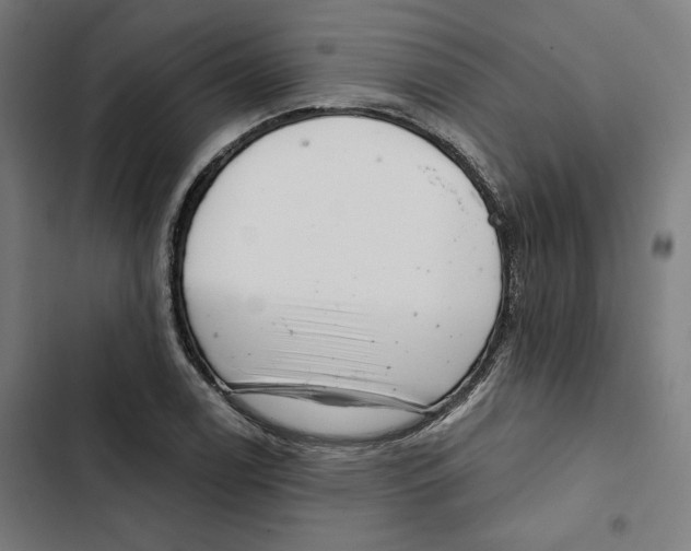 X0000102501122200809051339