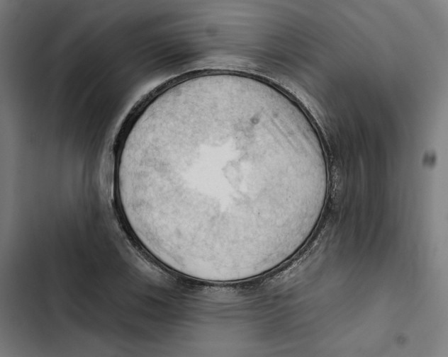 X0000102501123200809051339