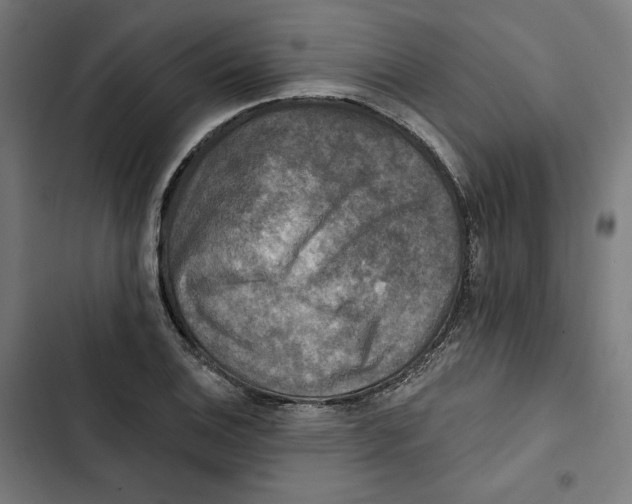 X0000102501124200809051339