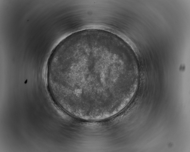 X0000102501127200809051339