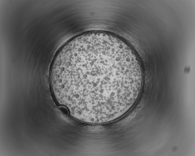 X0000102501129200809051339