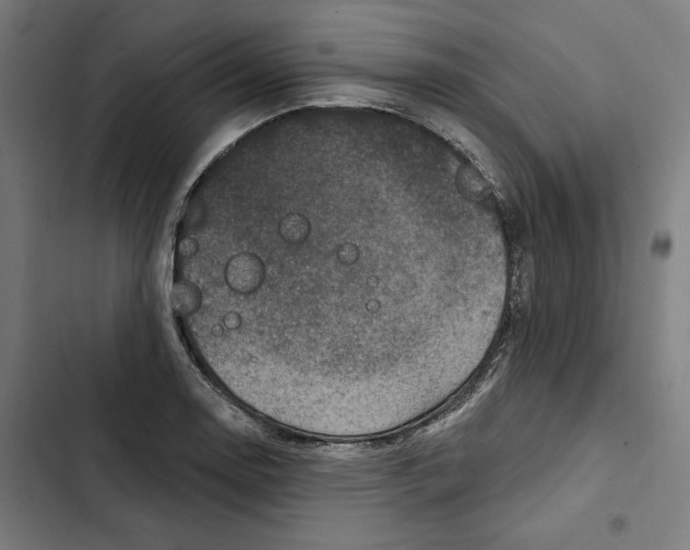 X0000102501130200809051339