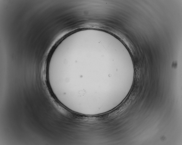 X0000102501131200809051339