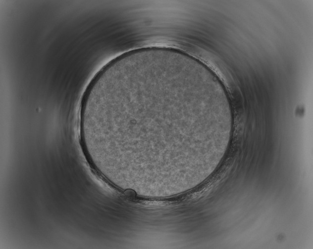 X0000102501132200809051339