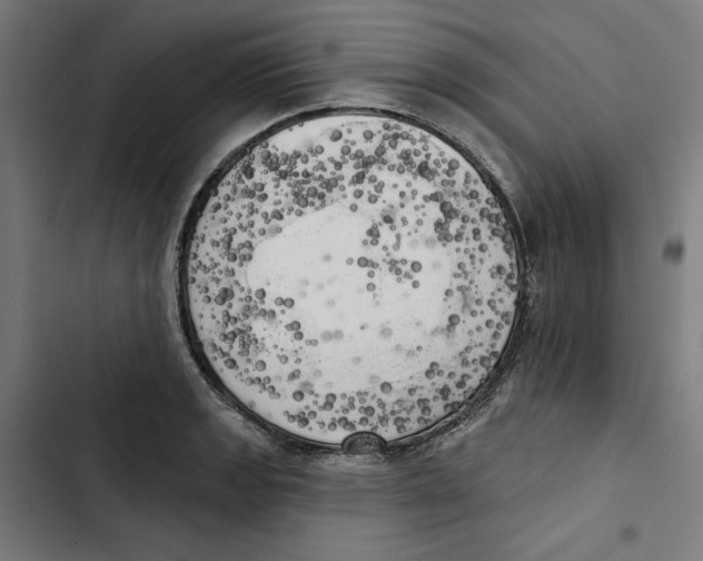 X0000102501133200809051339