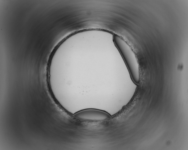 X0000102501134200809051339