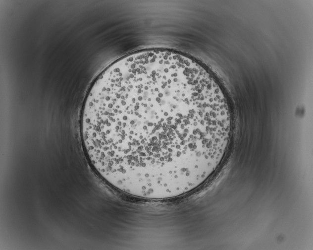 X0000102501137200809051339