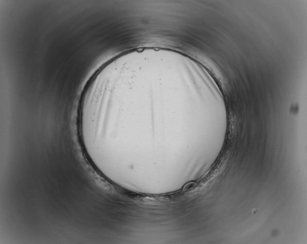 X0000102501138200809051339