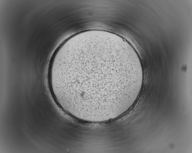 X0000102501139200809051339