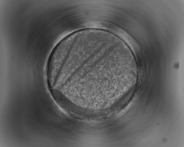 X0000102501141200809051339