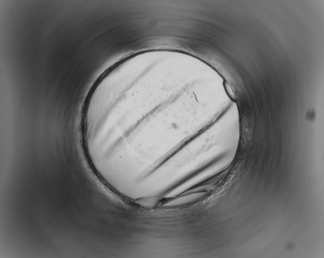 X0000102501142200809051339