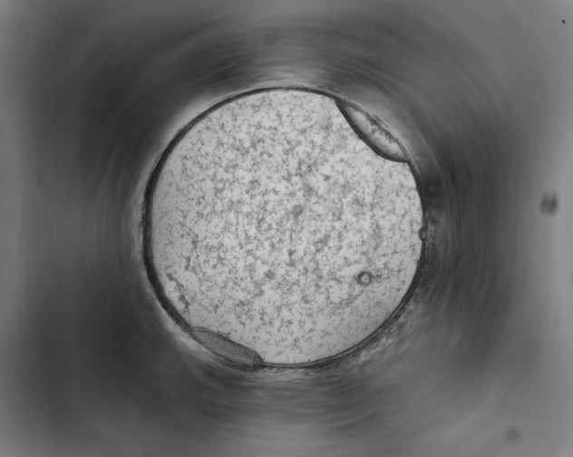 X0000102501143200809051339