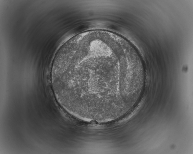 X0000102501145200809051339