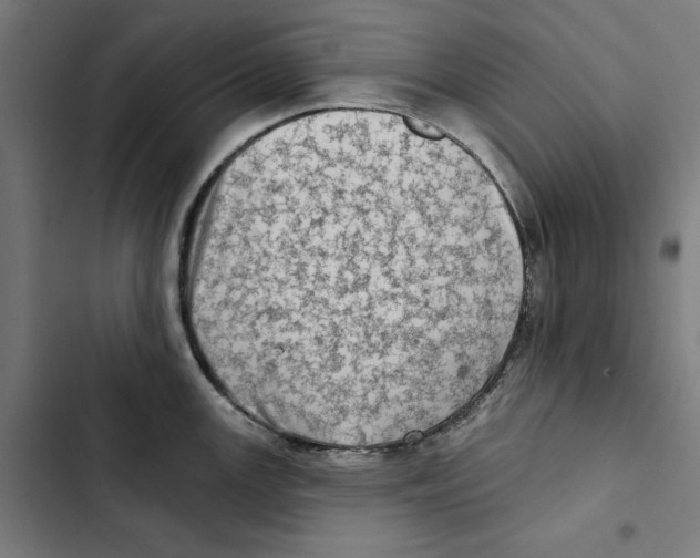 X0000102501147200809051339