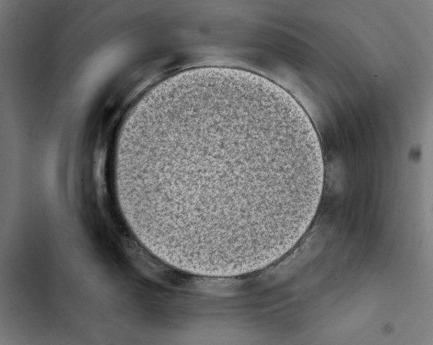 X0000102501150200809051339